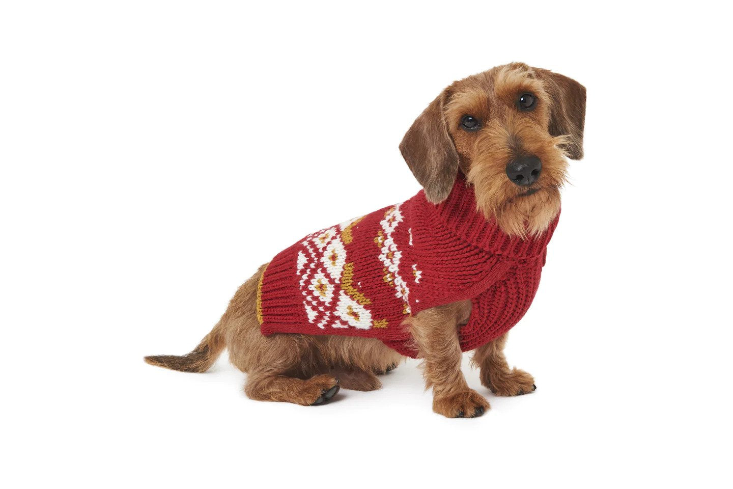 INTARSIA SWEATER by POLDO DOG COUTURE