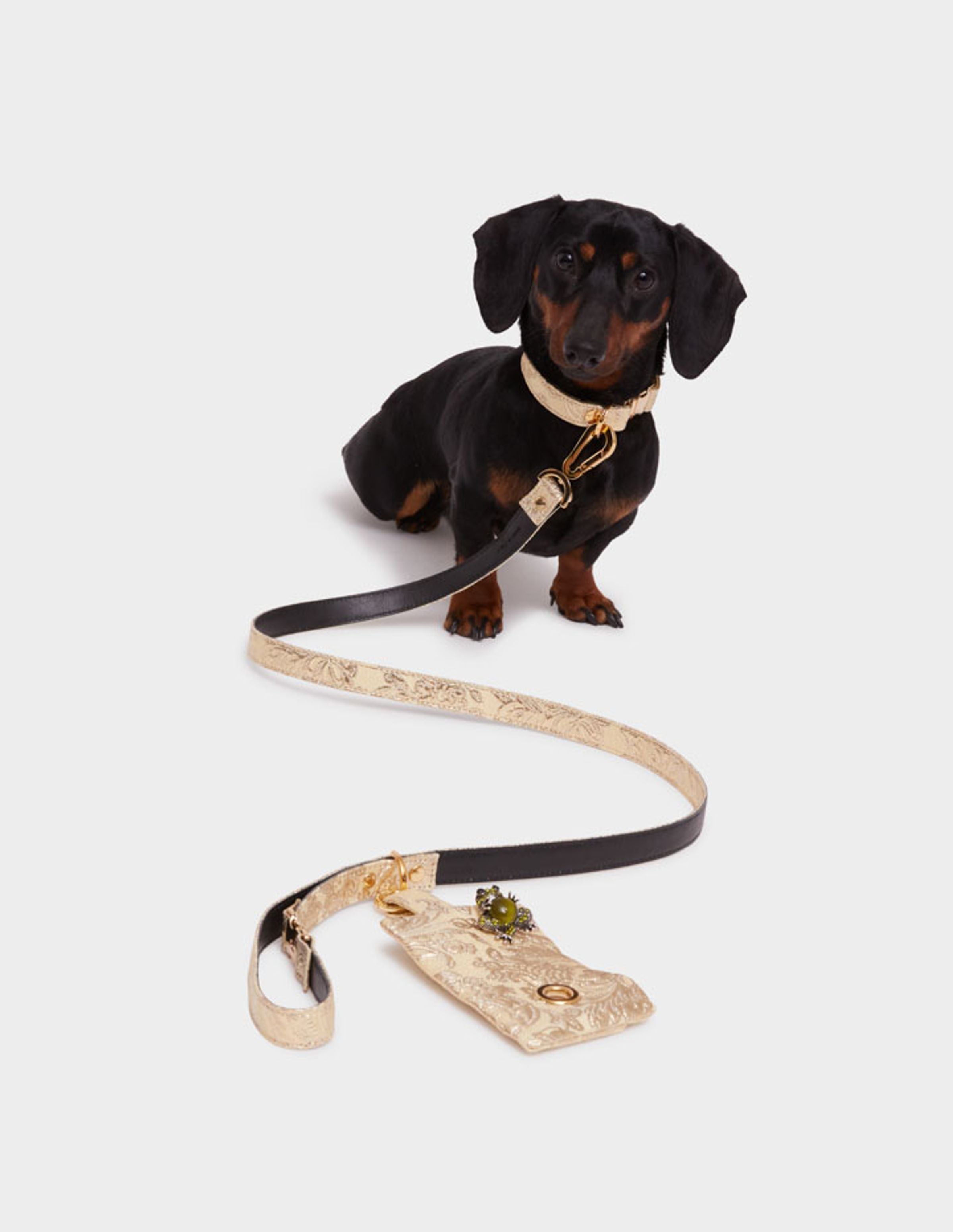 Louis Vuitton BAXTER XSMALL DOG COLLAR