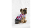 Load image into Gallery viewer, TRENTO by POLDO DOG COUTURE
