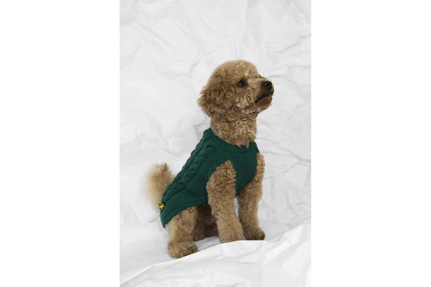 SOUL SWEATER by POLDO DOG COUTURE – Petsaporter